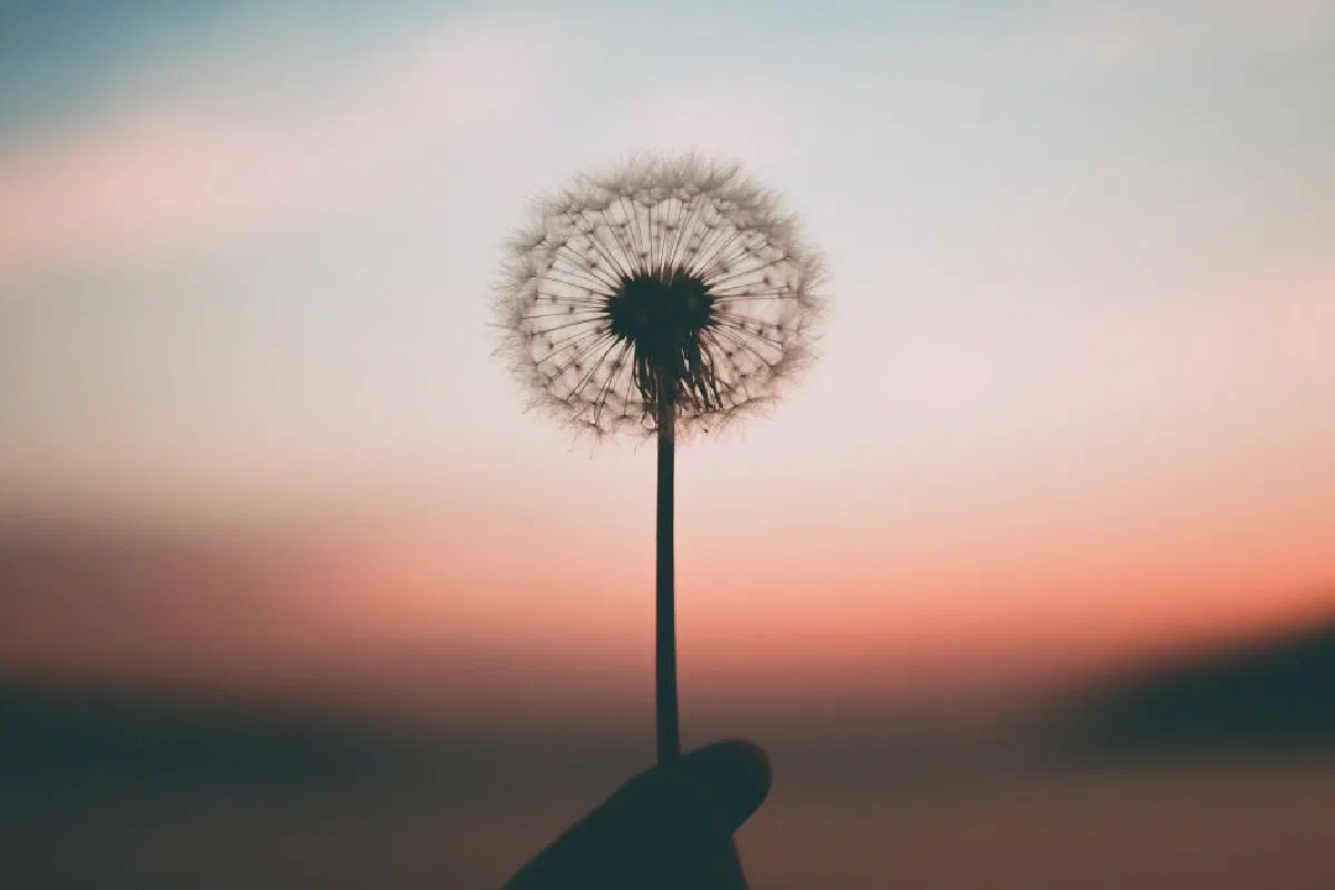Is it okay to wish for something?