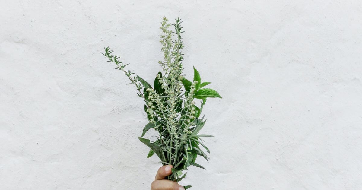 What is Wormwood in Revelation?