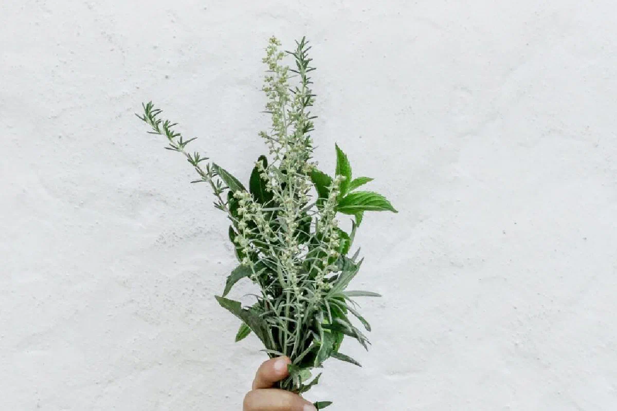 What is Wormwood in Revelation?
