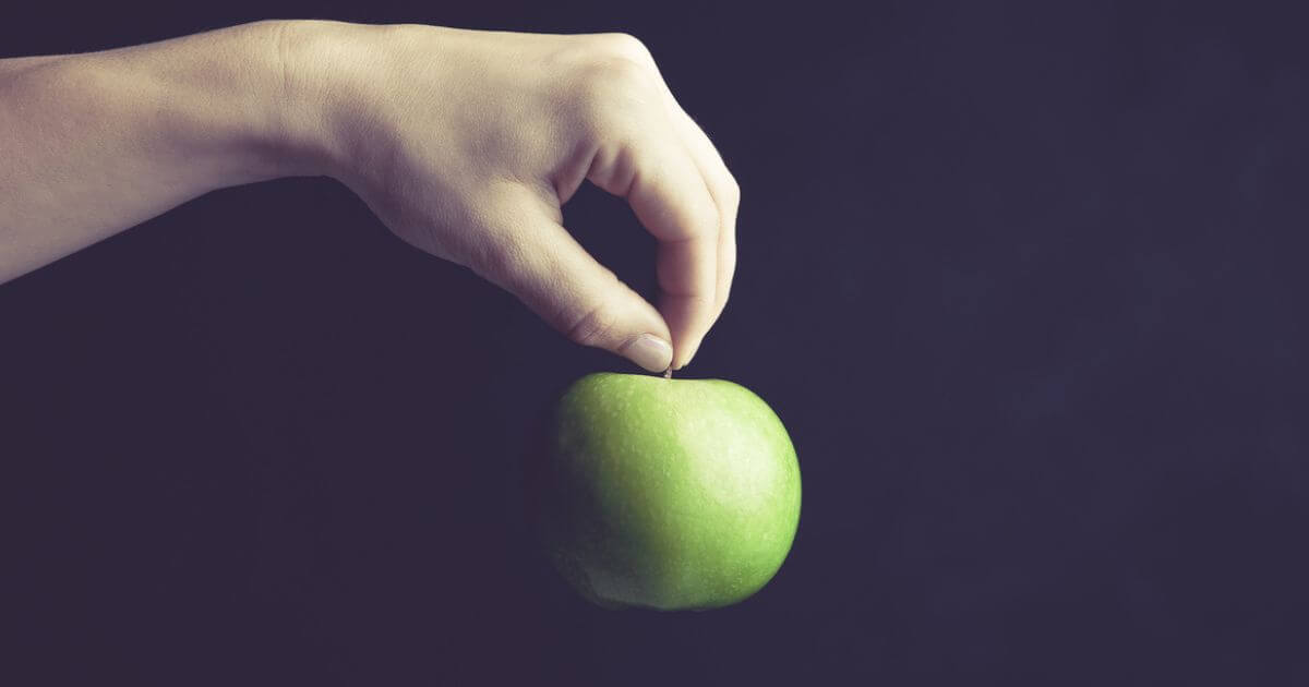 What does it mean that you will know them by their fruit in Matthew 7:16?