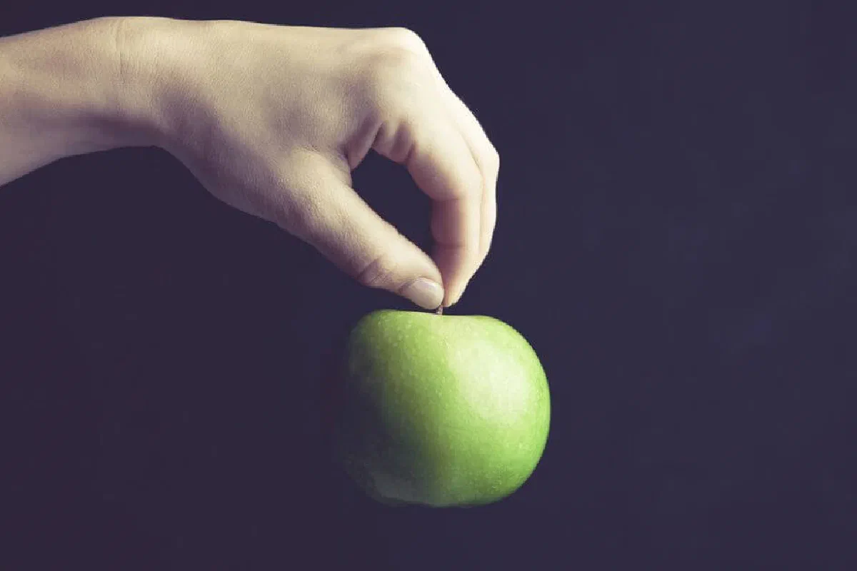 What does it mean that you will know them by their fruit in Matthew 7:16?